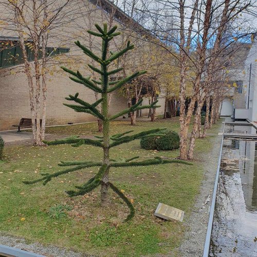 MillenarisPark_Chile_Emlektabla_AndokiFenyo