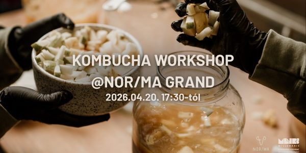 norma-Kombucha Workshop