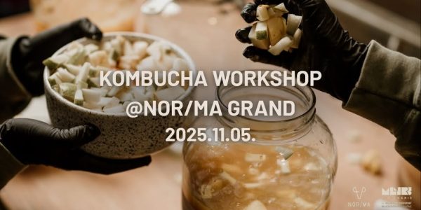 norma-kombucha